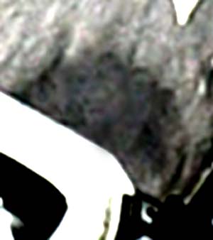 e0103408_17343288.jpg