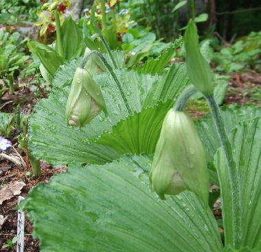 f0161708_2221019.jpg