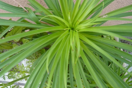 f0221708_2143790.jpg