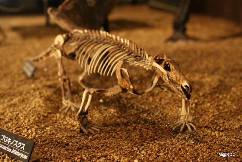 c0037611_23212791.jpg