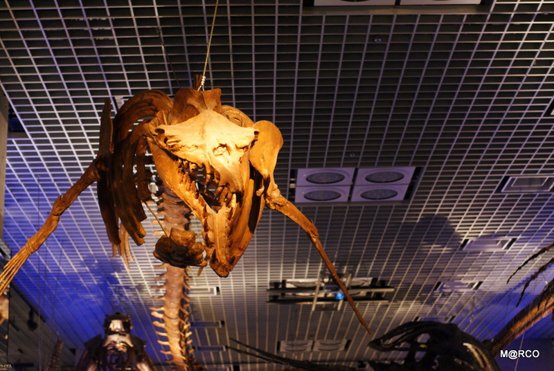 c0037611_23215570.jpg