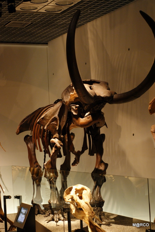 c0037611_23225190.jpg