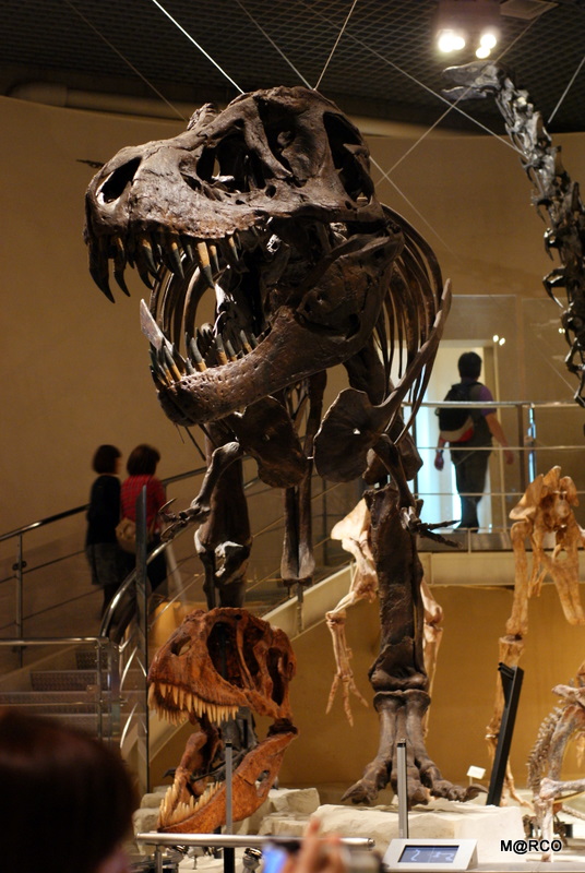 c0037611_2323098.jpg