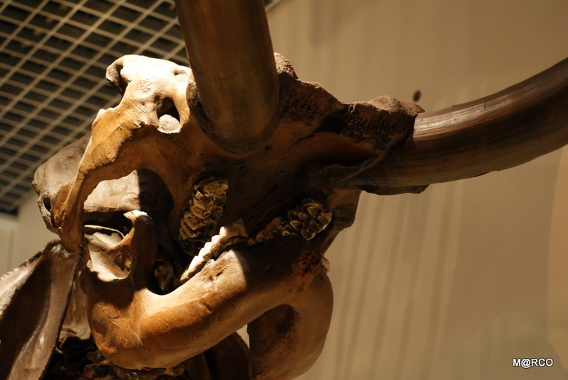 c0037611_23241520.jpg