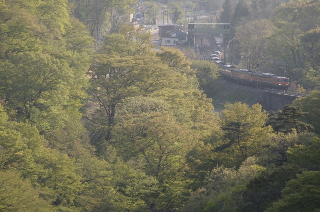 e0005714_2010181.jpg
