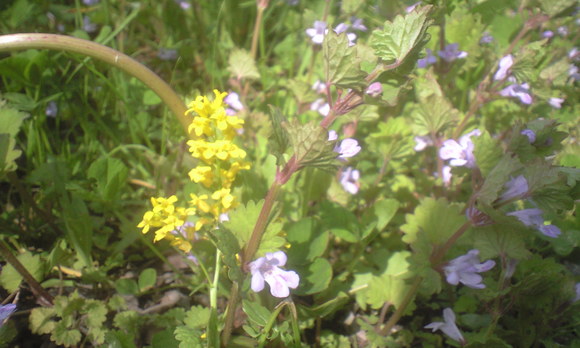 e0227023_21333167.jpg