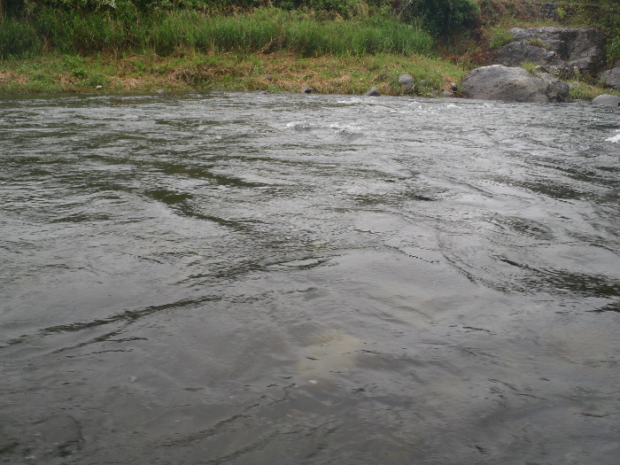f0103126_2053924.jpg