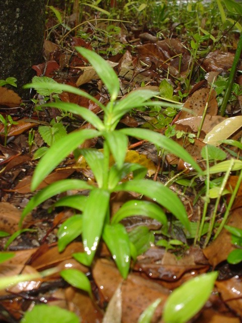 d0004627_17295980.jpg