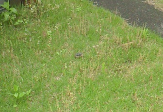 f0015027_21302960.jpg