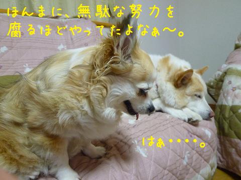 b0138430_20523139.jpg