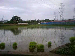 d0163834_17222751.jpg