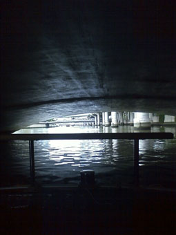 a0137142_17153523.jpg