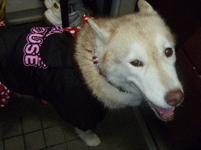 e0121548_20105792.jpg
