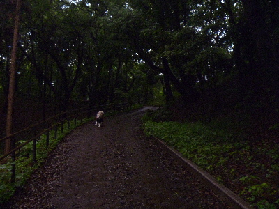 e0121548_20142653.jpg