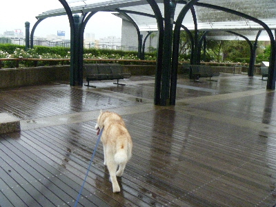 e0121548_20375181.jpg
