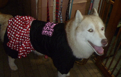 e0121548_2043122.jpg