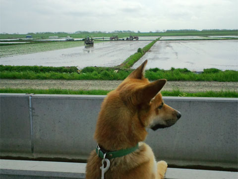 f0221648_8384669.jpg