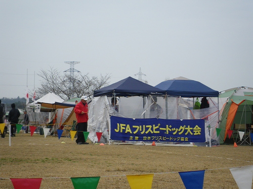 d0146153_14382267.jpg