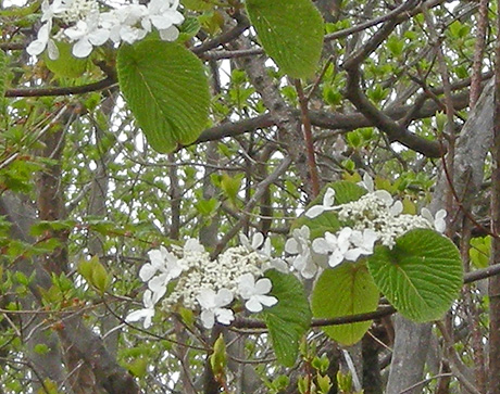 a0001354_22404592.jpg