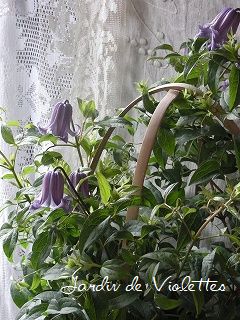 e0118257_1623170.jpg