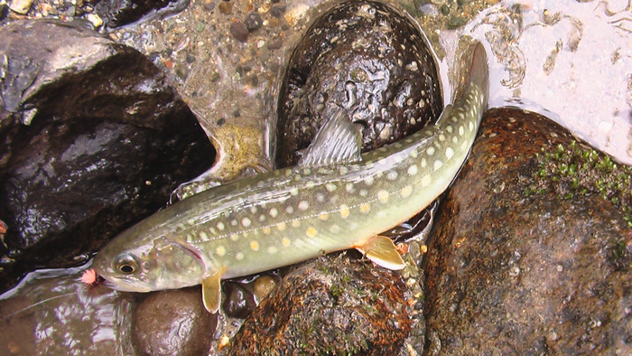 b0208961_21462215.jpg