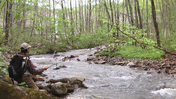 b0208961_21502029.jpg