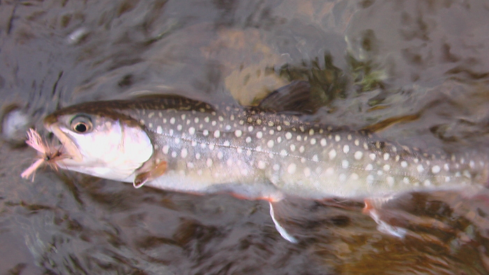 b0208961_21523119.jpg