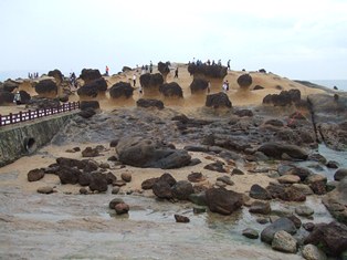 e0130465_14451699.jpg