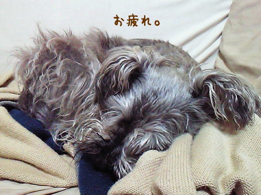 f0145575_20551389.jpg