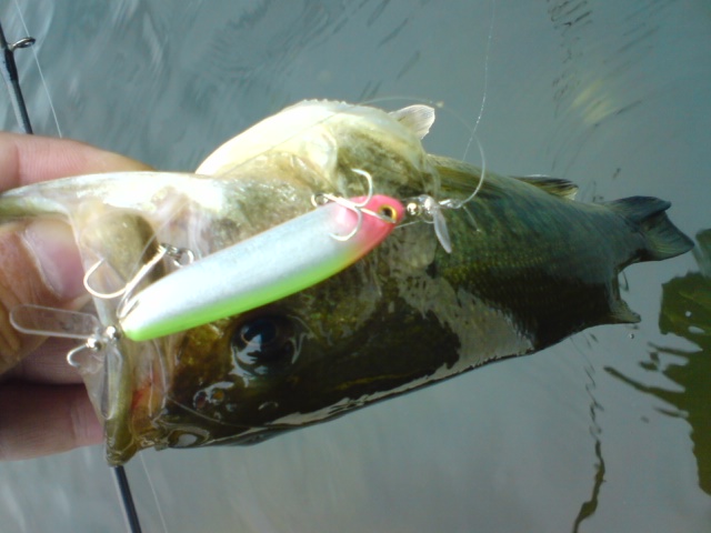 a0040876_15555575.jpg