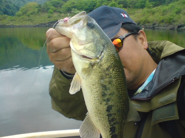 a0040876_1557139.jpg
