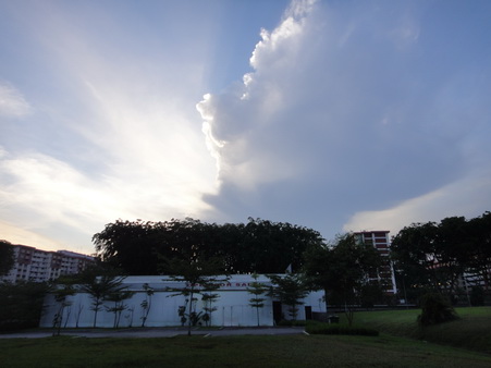 a0002177_2012129.jpg