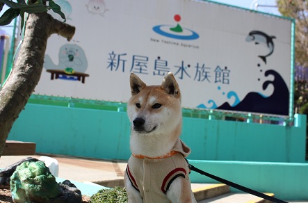 f0230777_13593457.jpg