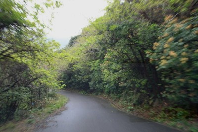 f0037378_1016726.jpg