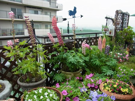 f0014980_21554779.jpg