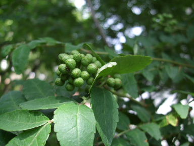 f0039281_10311040.jpg