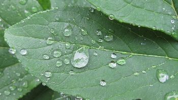 f0003283_9591357.jpg