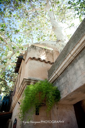 e0148185_12254133.jpg