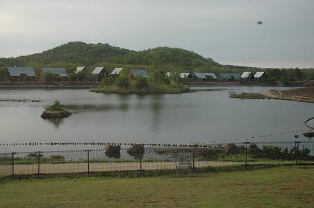 c0123890_20433014.jpg