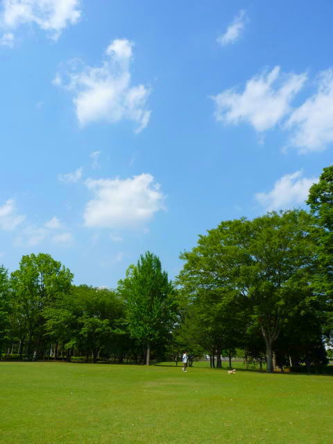 a0157892_17215616.jpg