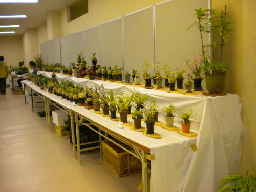 e0179098_1225392.jpg