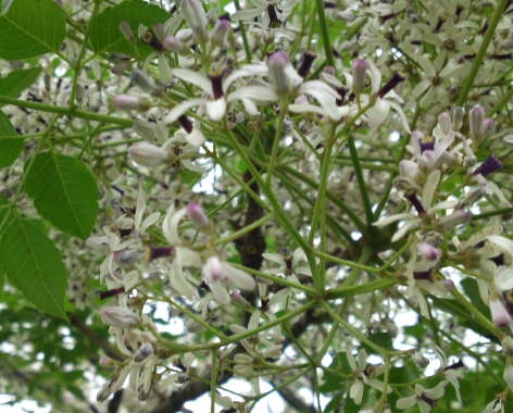 a0031000_13413434.jpg
