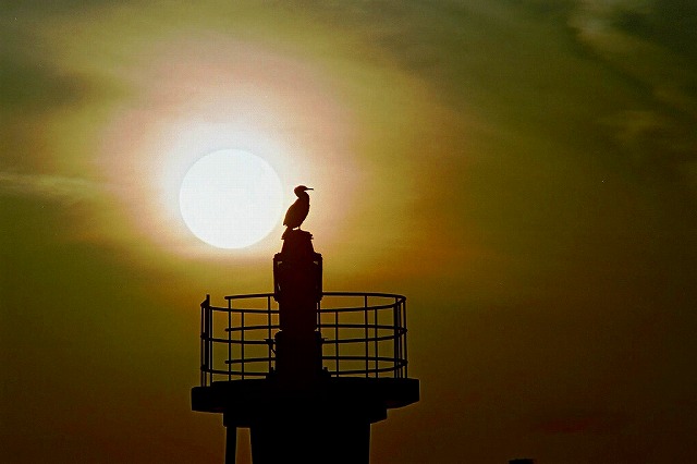 a0188405_1414196.jpg