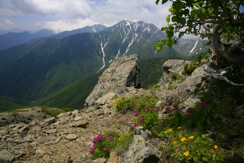 a0188405_2319359.jpg