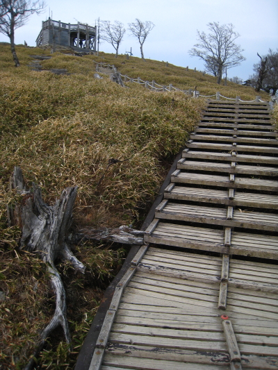 b0180907_19415120.jpg