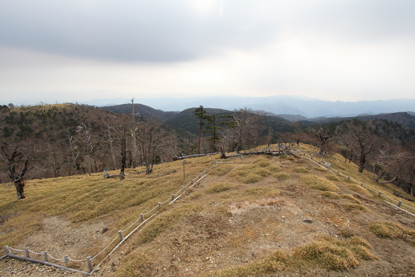 b0180907_19461916.jpg