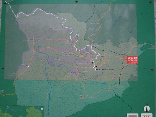 b0180907_20272388.jpg