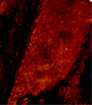 e0103408_17252235.jpg