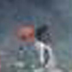 e0103408_5375495.jpg