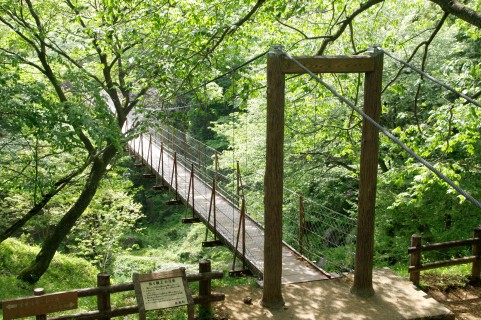 c0044617_9214913.jpg